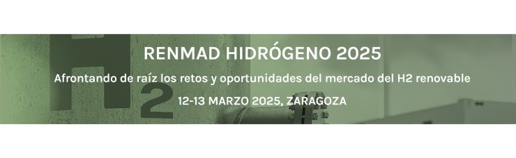 RENMAD HIDRÓGENO 2025