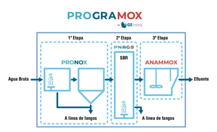 Proceso PROGRAMOX® | PROGRAMOX® process