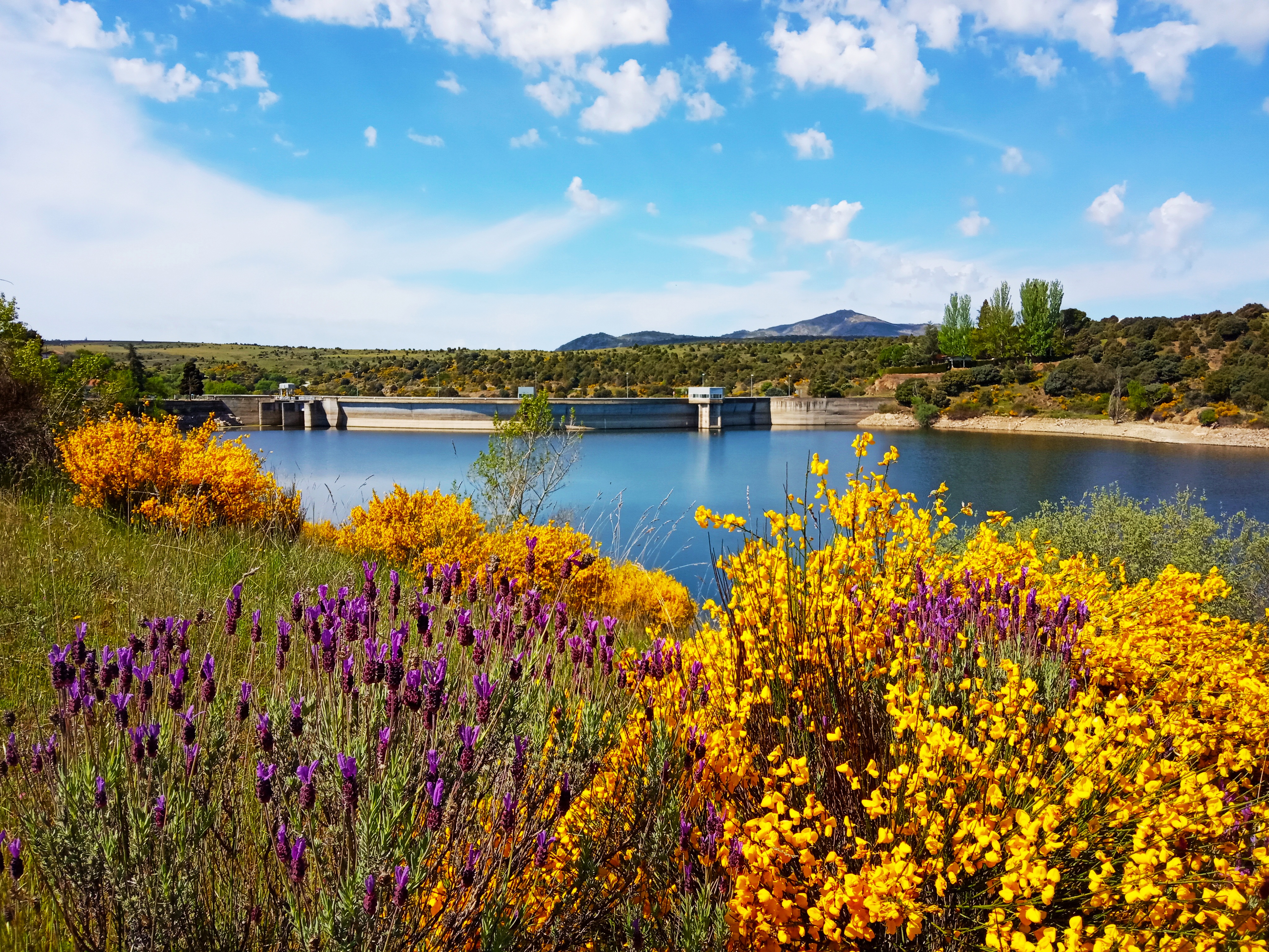  Presa de Pedrezuela (Embalse de El Vellón)