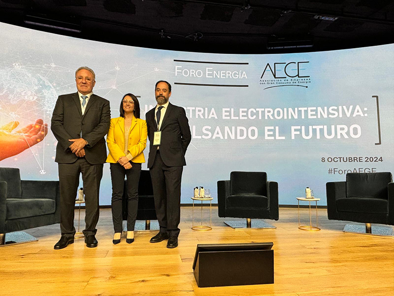 AEGE reúne en Madrid a más de 200 asistentes en la cita anual de la industria electrointensiva