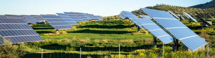  La energía solar fotovoltaica lidera el mix de generación nacional en junio con el 22,2% del total