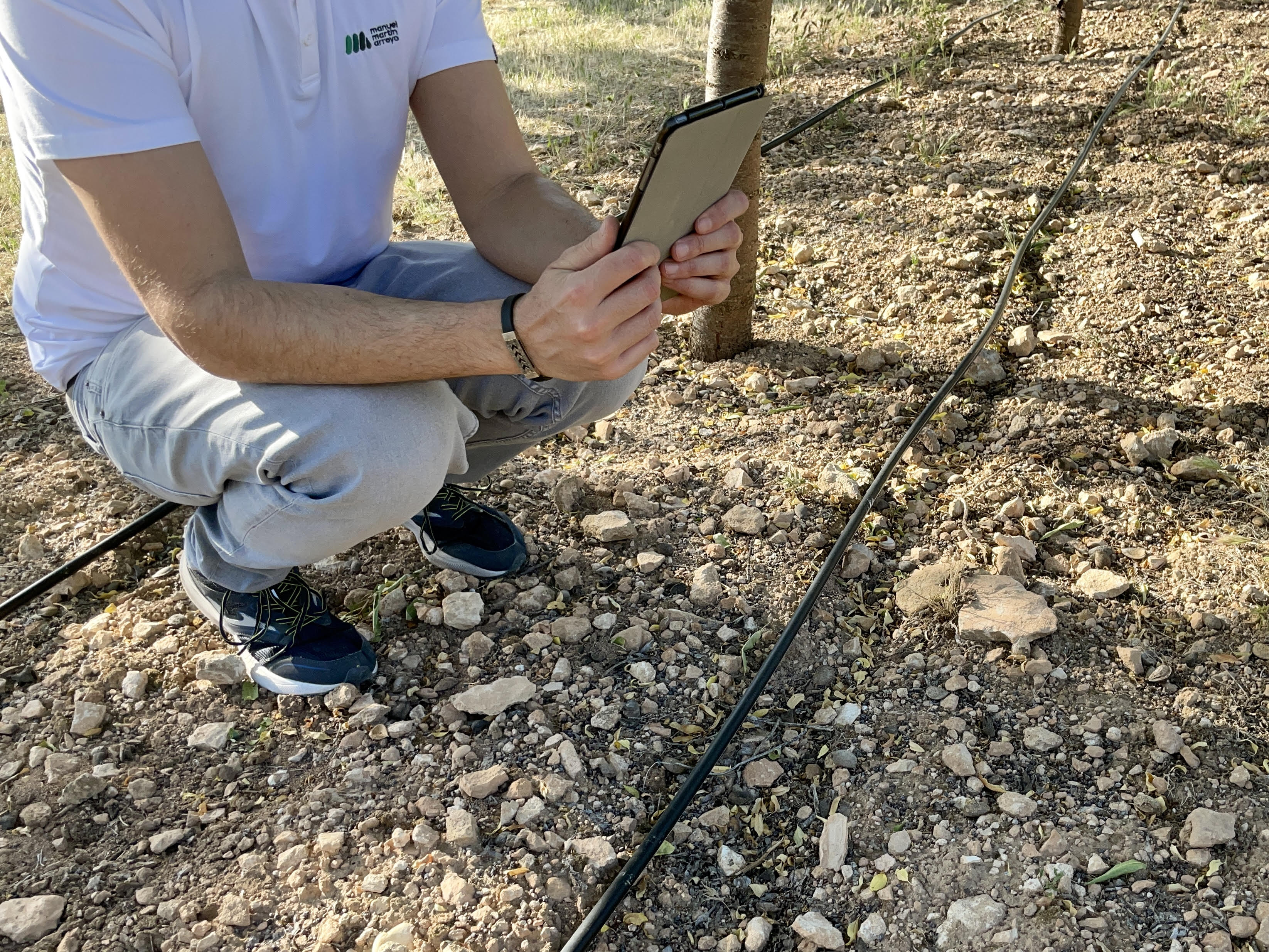 smart agriculture