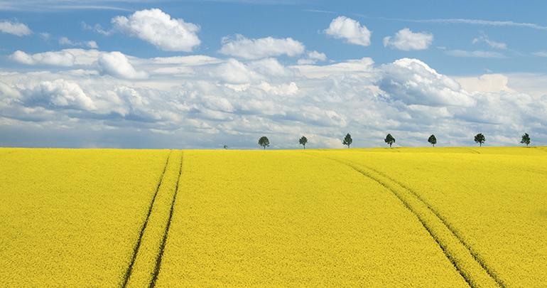 El Proyecto CO2FARM identifica las claves para establecer un mercado de agricultura de carbono