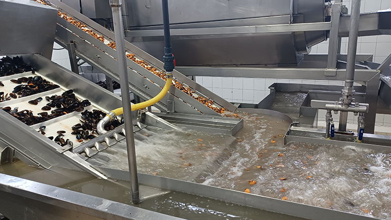 Azti reconvierte las aguas de proceso de los mejillones en ingredientes alimentarios naturales y sostenibles