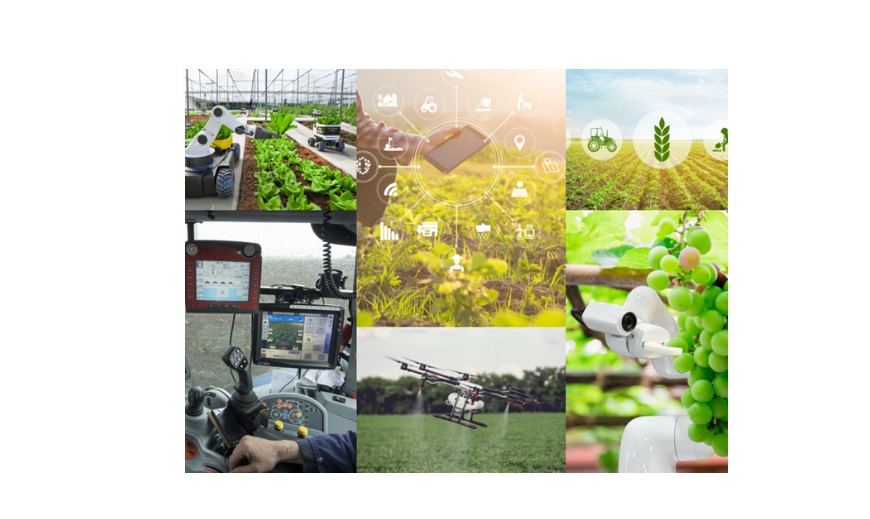 Monitorizar la tierra: esta es la nueva propuesta de DATAlife para digitalizar el sector agroalimentario