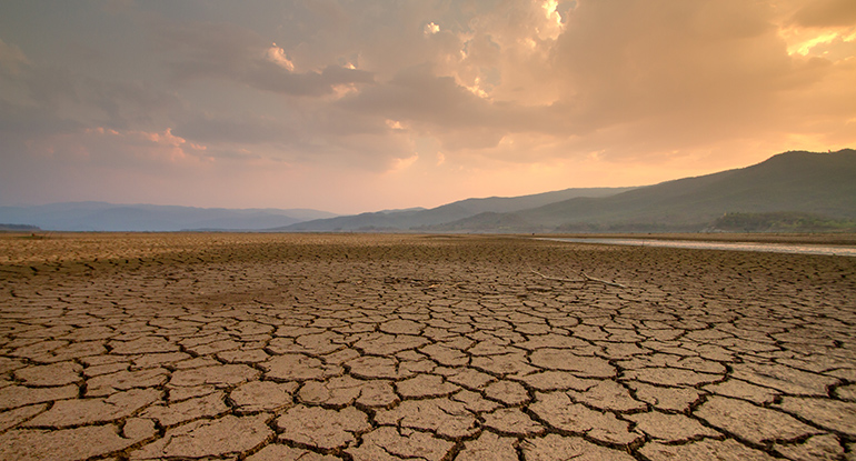 La sequía y desertificación, protagonistas del Día Mundial del Medio Ambiente 2024