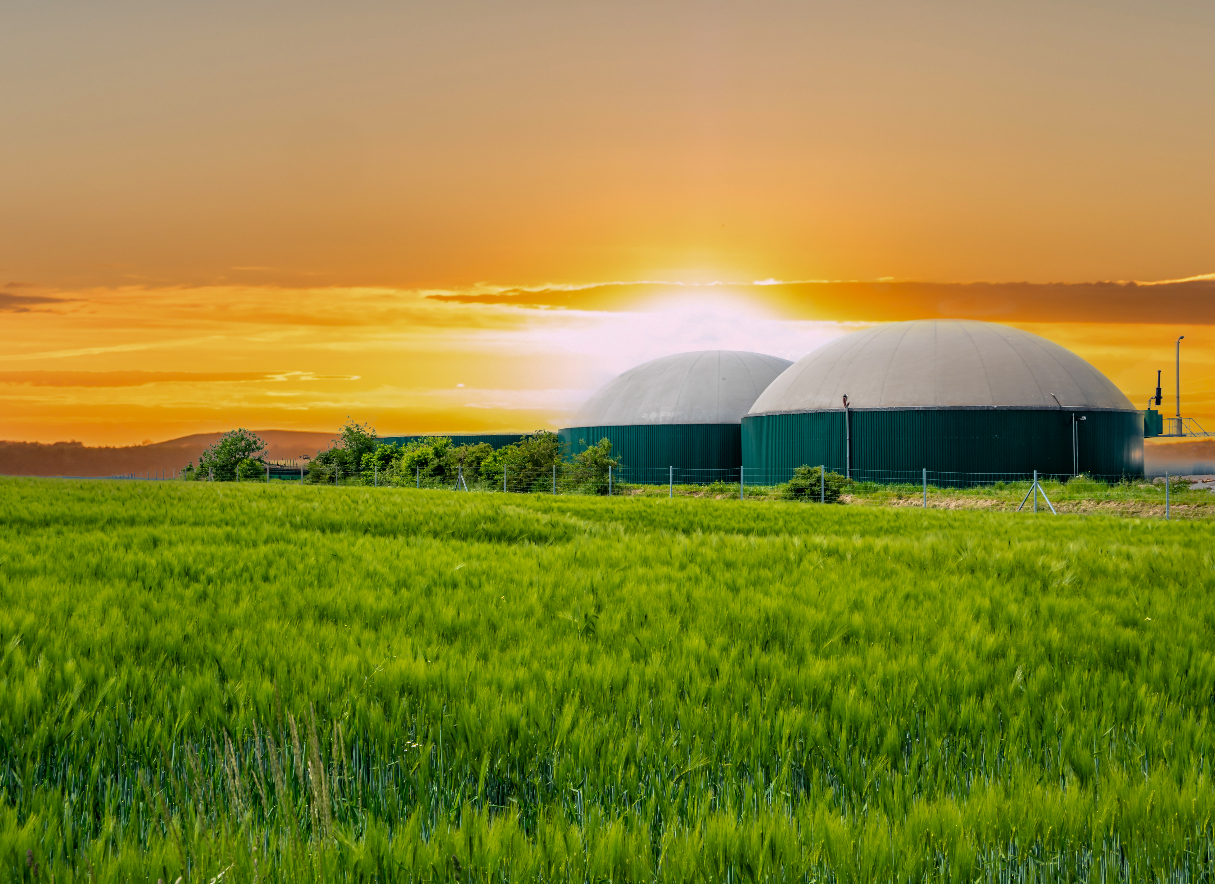 España 2025: el reto de integrar biogás y biometano en nuestro modelo energético 